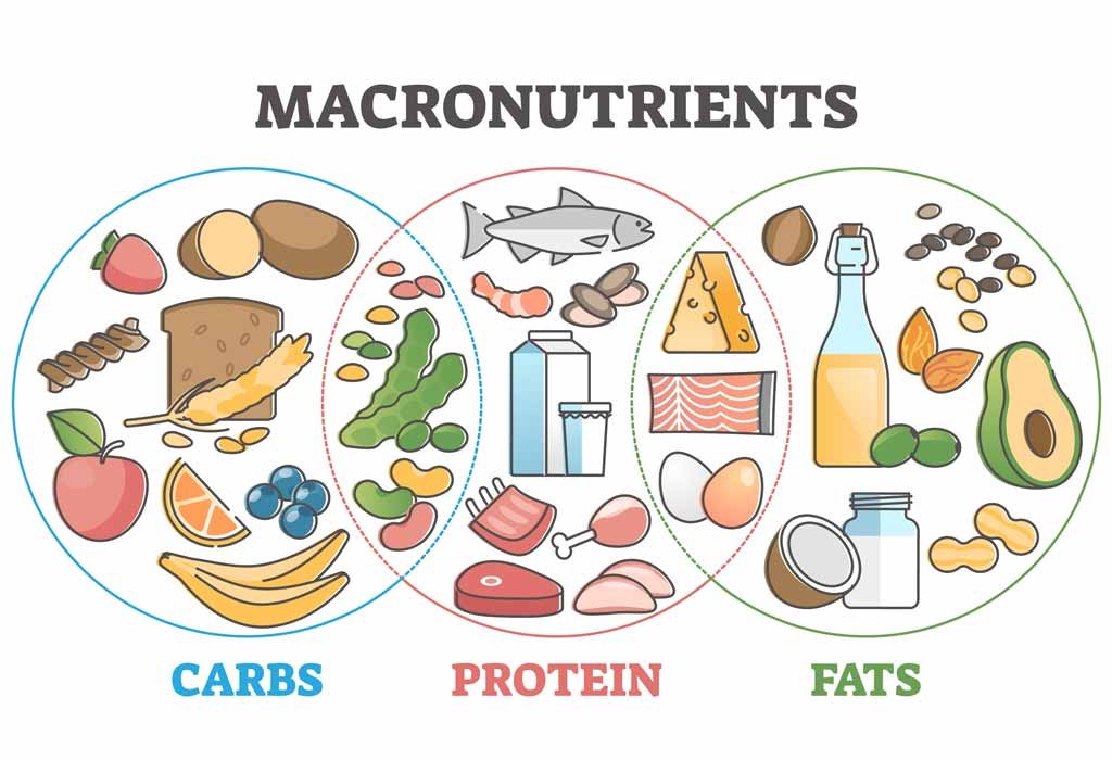 Healthy Eating Habits for Young Children
